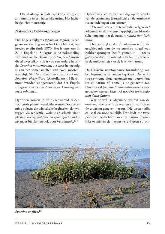 Plantaardig
