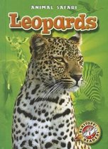 Animal Safari- Leopards