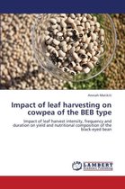 Impact of Leaf Harvesting on Cowpea of the Beb Type