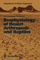 Ecophysiology of Desert Arthropods and Reptiles