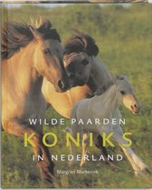 Koniks, Wilde Paarden In Nederland
