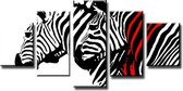 Zebra - Canvas Schilderij Vijfluik 160 x 80 cm