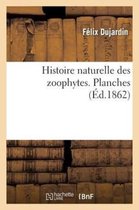 Sciences- Histoire Naturelle Des Zoophytes: �chinodermes. Planches