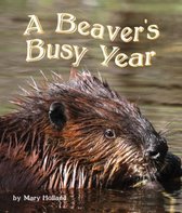 The Beavers' Busy Year