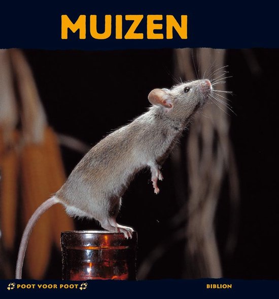 Cover van het boek 'Muizen' van S. Frattini