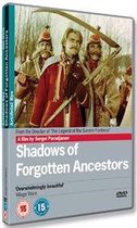 Shadows Of Forgotten  Ancestors