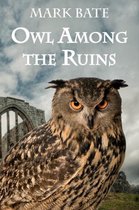Owl Among the Ruins