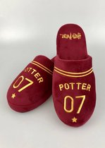 Harry Potter Quidditch instap pantoffels met anti slip