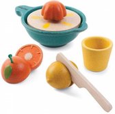 Plantoys Winkeltje, winkel & Accessoire kopen? Kijk snel PlanToys Dierenverzorging set 1234feest.nl