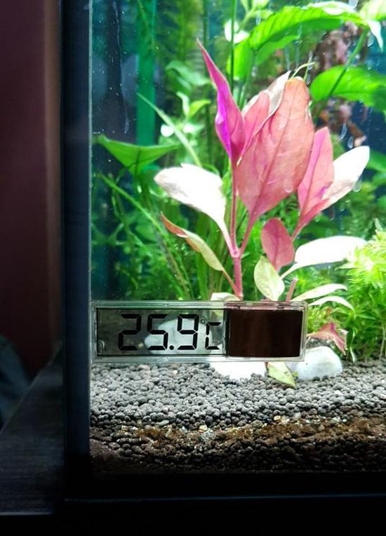 Premium Aquarium thermometer voor buitenkant aquarium - Water temperatuur meter - Favorite Things