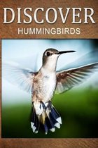 Hummingbirds - Discover