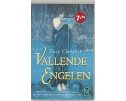Omslag van Vallende Engelen