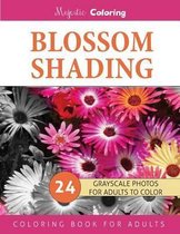 Blossom Shading