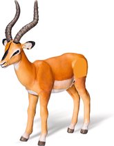 Tiptoi antilope