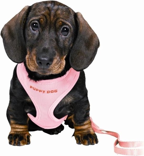 het is mooi Formulering boete Trixie harnas / tuigje voor puppy roze | bol.com