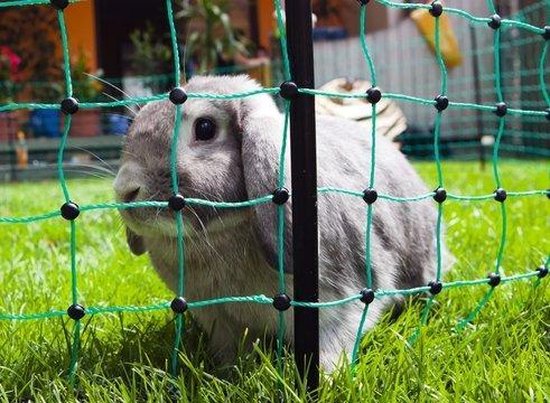Schrikdraadnet voor kleine dieren 25 meter