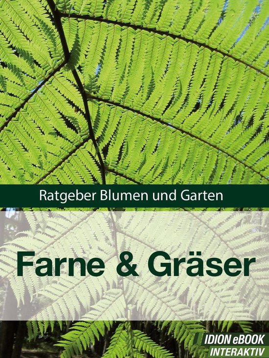 Farne & Gräser - cover