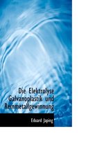 Die Elektrolyse Galvanoplastik Und Reinmetallgewinnung