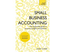 Small Business Accounting Teach Yourself