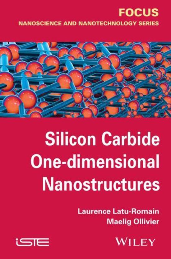 Silicon Carbide One-dimensional Nanostructures - cover