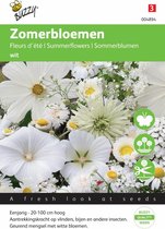 Zomerbloemen witte tinten - set van 6 stuks