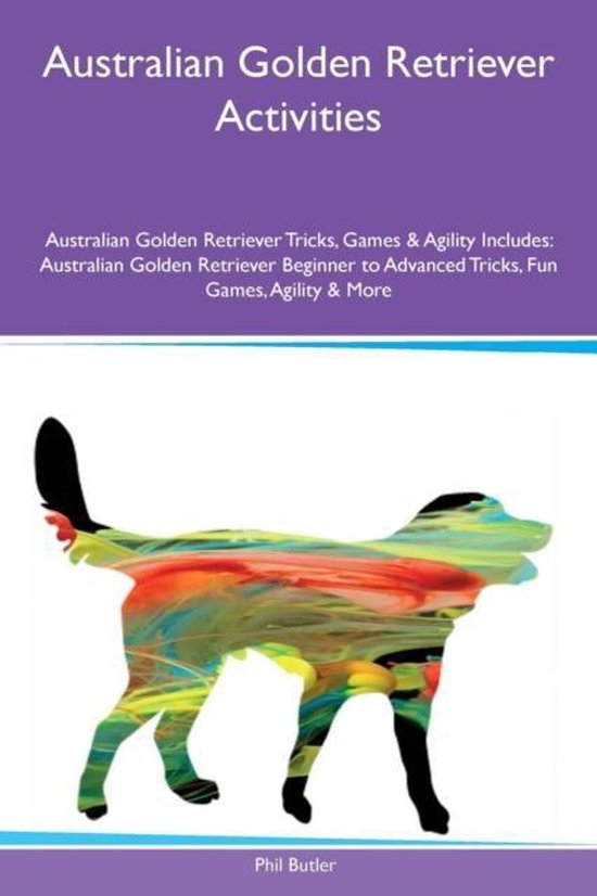 Australian Golden Retriever Activities Australian Golden Retriever