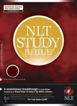 Nlt Study Bible