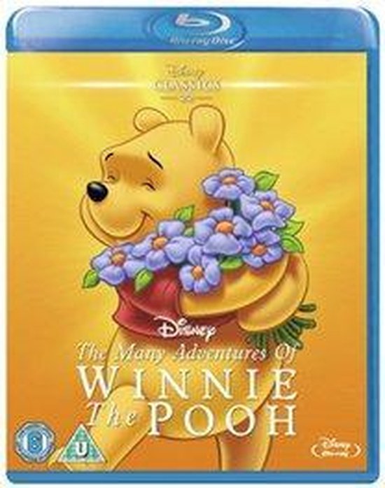 Many Adventures Of Winnie The Pooh