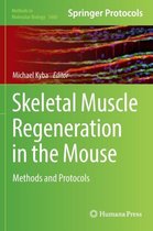 Skeletal Muscle Regeneration in the Mouse