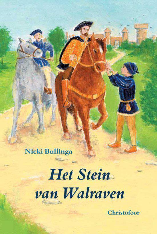 Cover van het boek 'Het Stein van Walraven' van Nicki Bullinga