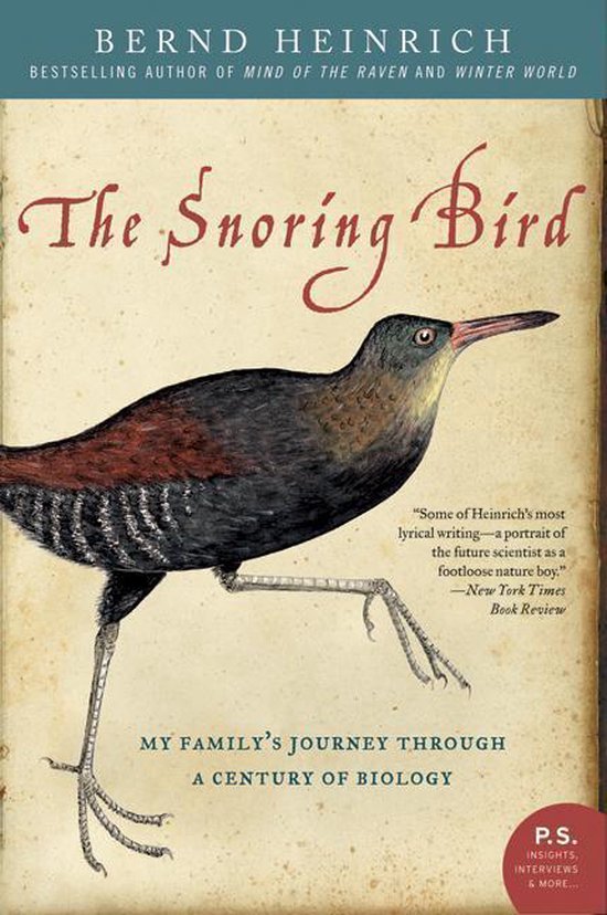 The Snoring Bird - cover