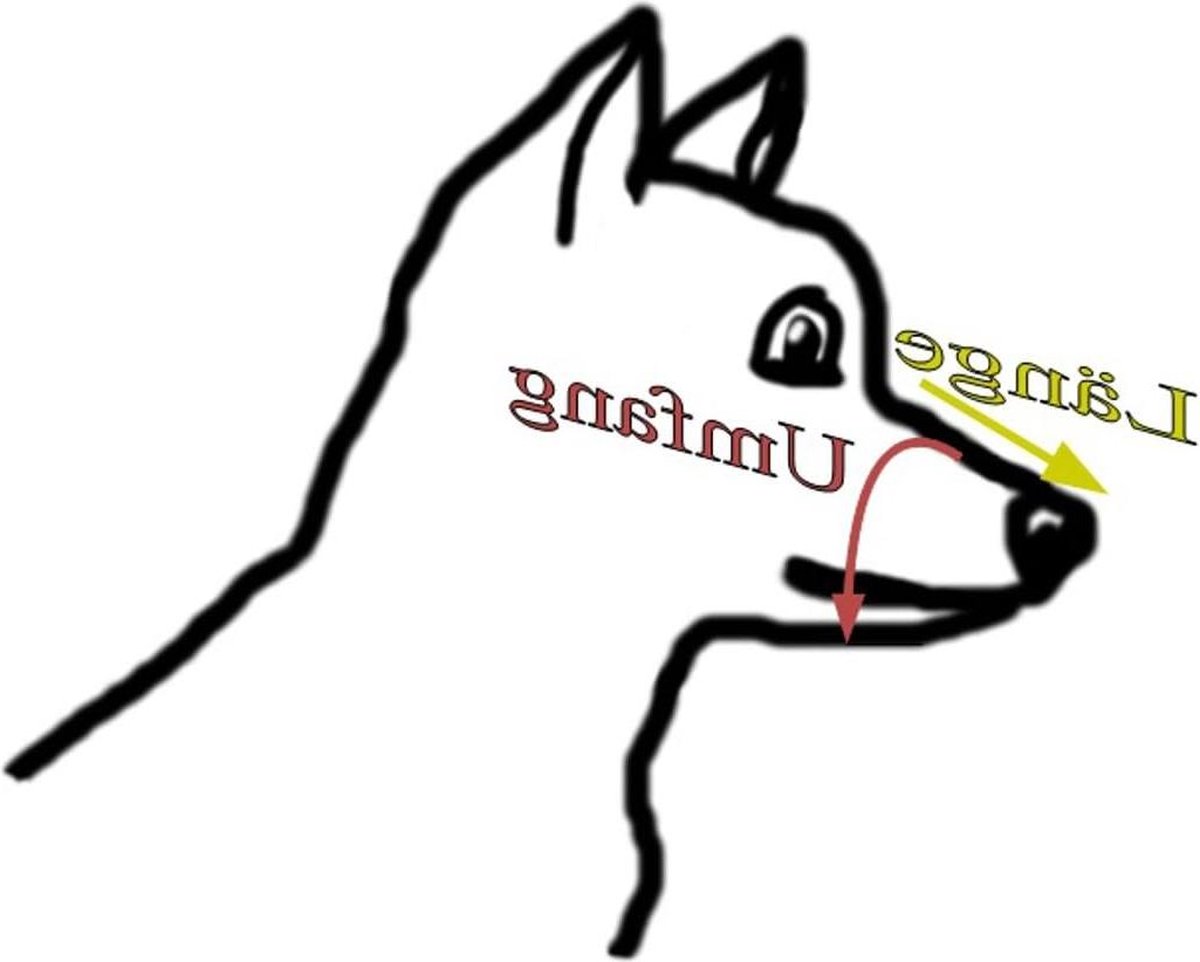 Bol.com Metalen muilkorf voor grote Rottweiler - lengte 12 cm, omtrek 41 cm - maat 7A - hondenmand bijtrand dog muzzle aanbieding