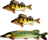Eurocatch Snoek & Baars Wanddecoset - Muurdecoratie - 90cm - 3-D Metaal en Glas - Kunst - Cadeau Tip - Vaderdag Cadeau