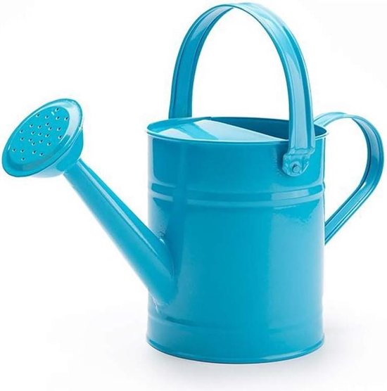 Arrosoir en métal de Fer de 1,5 L, Mini arroseur Water Multi avec poignée pour Plantes de Jardin et d'intérieur, Bloem Blauw - 200610HS01-1-9431-1706039881