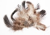 Rayher hobby kleine decoratie dons veren/veertjes - 40x stuks - zwart/wit/bruin mix