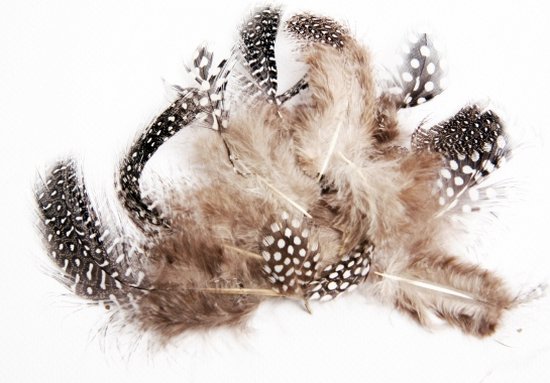 40x Décoration en plumes de duvet