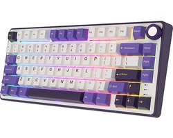 Royal Kludge RKR75 - RGB Mechanisch Gaming Toetsenbord - Foam Touch - Hot Swappable Switch - Blackberry - Silver Switches - Inclusief Stofkap