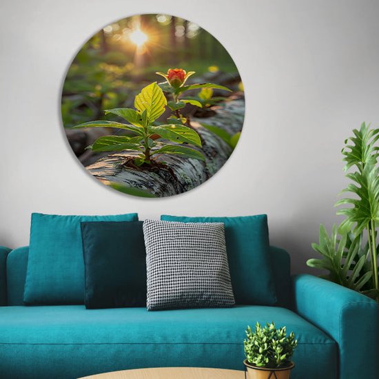 Plant wandschalen - Flora wandcirkel - Muurcirkel Zon - Schilderij vintage - Wanddecoratie rond - Kantoor decoratie muurcirkel aluminium 70x70 cm