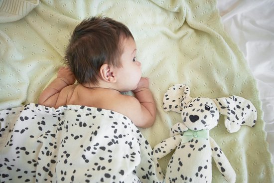 Elodie Bamboe Hydrofiele doek - Darling Dalmatians van Elodie — afbeelding 2