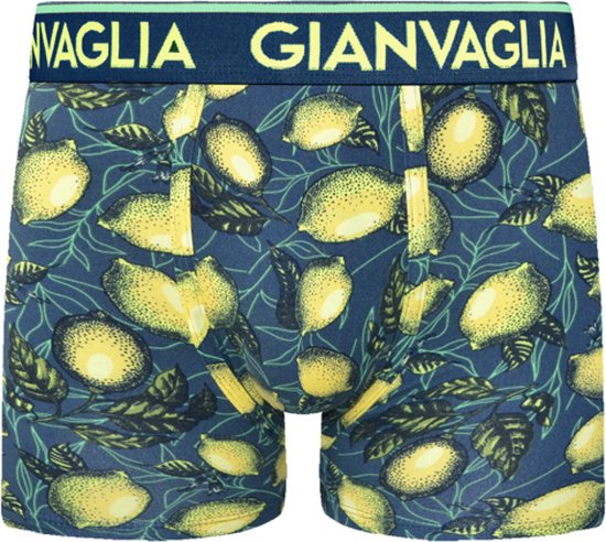 Boxershort met donkerblauwe print van citroenen en bladeren. Groene tailleband met lichtgroene rand.