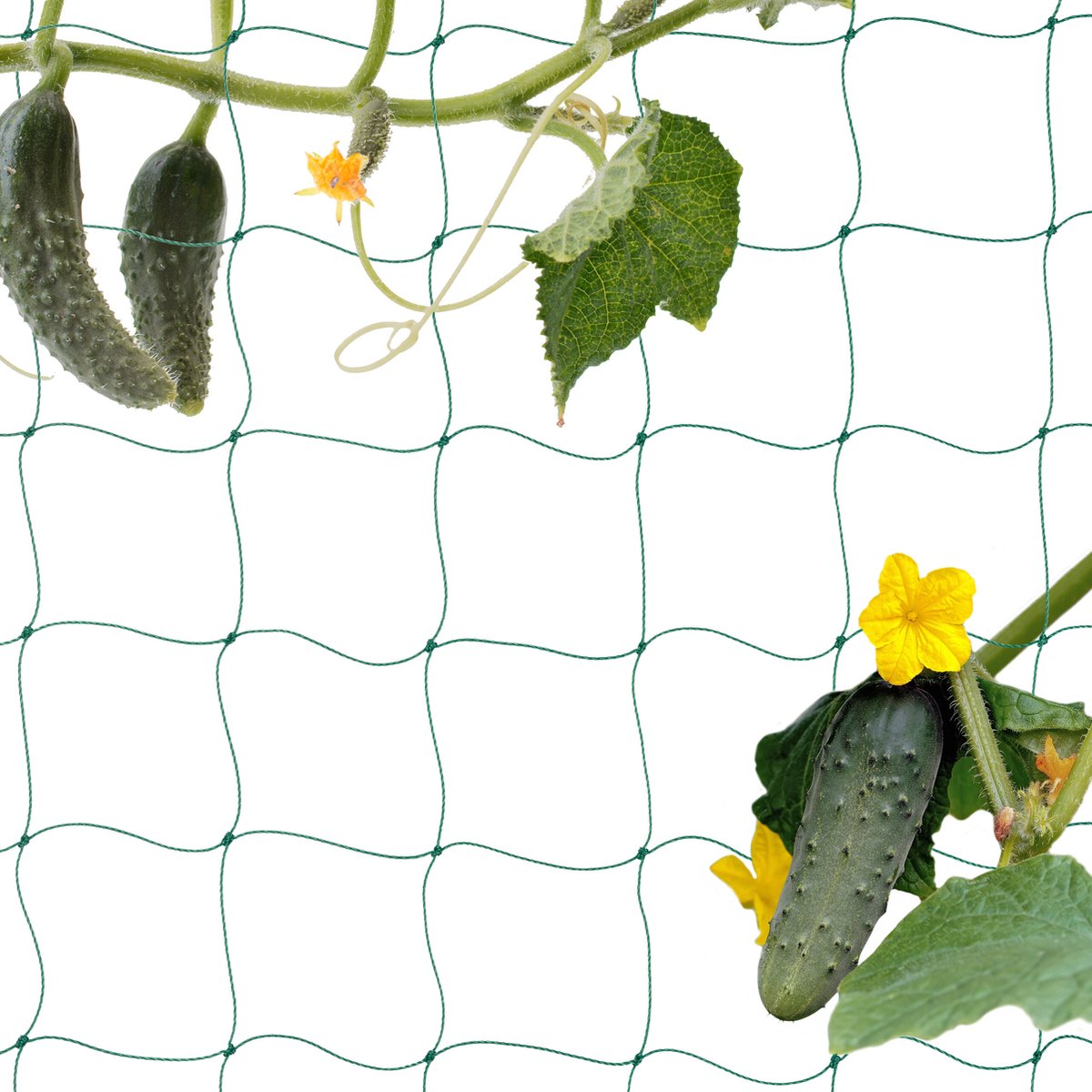 Relaxdays klimnet voor planten 200 x 750 cm steungaas klimplanten gewassen PE
