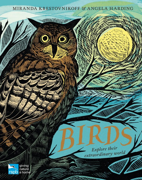 RSPB Birds Explore their extraordinary world
