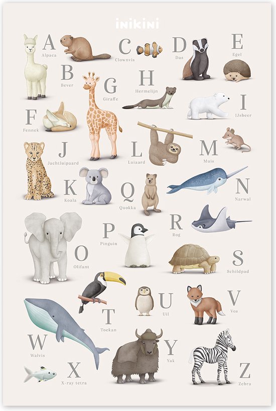 Foto: Alfabet poster dieren kinderkamer babykamer 40x60 cm nederlands abc wanddecoratie kraamcadeau decoratie school educatief schoolplaat inikini