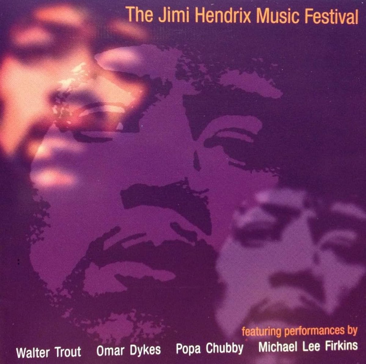 The Jimi Hendrix Music Festival