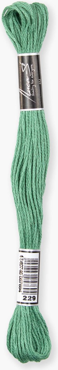 Luca-S 229 borduurgaren streng van 8 meter