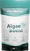 Algae Boost 100 gr- Beter dan Spirulina en Chlorella - Algen Supplement - Plankton - Superfood