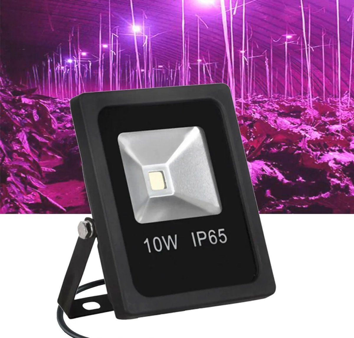 Kweeklamp Groeilamp Verlichting - Full Spectrum - 10 Watt
