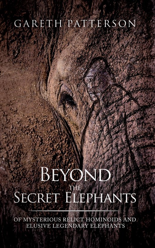 Beyond the Secret Elephants - cover