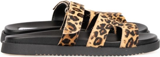 STEVE MADDEN Missile-L Leopard