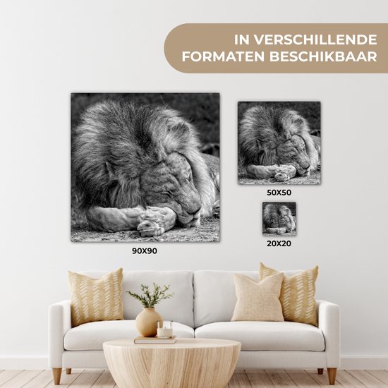 Toile de lion endormie 2cm 90x90 cm - Tirage photo sur toile (Décoration murale salon / chambre) / Peintures sur toile animaux sauvages